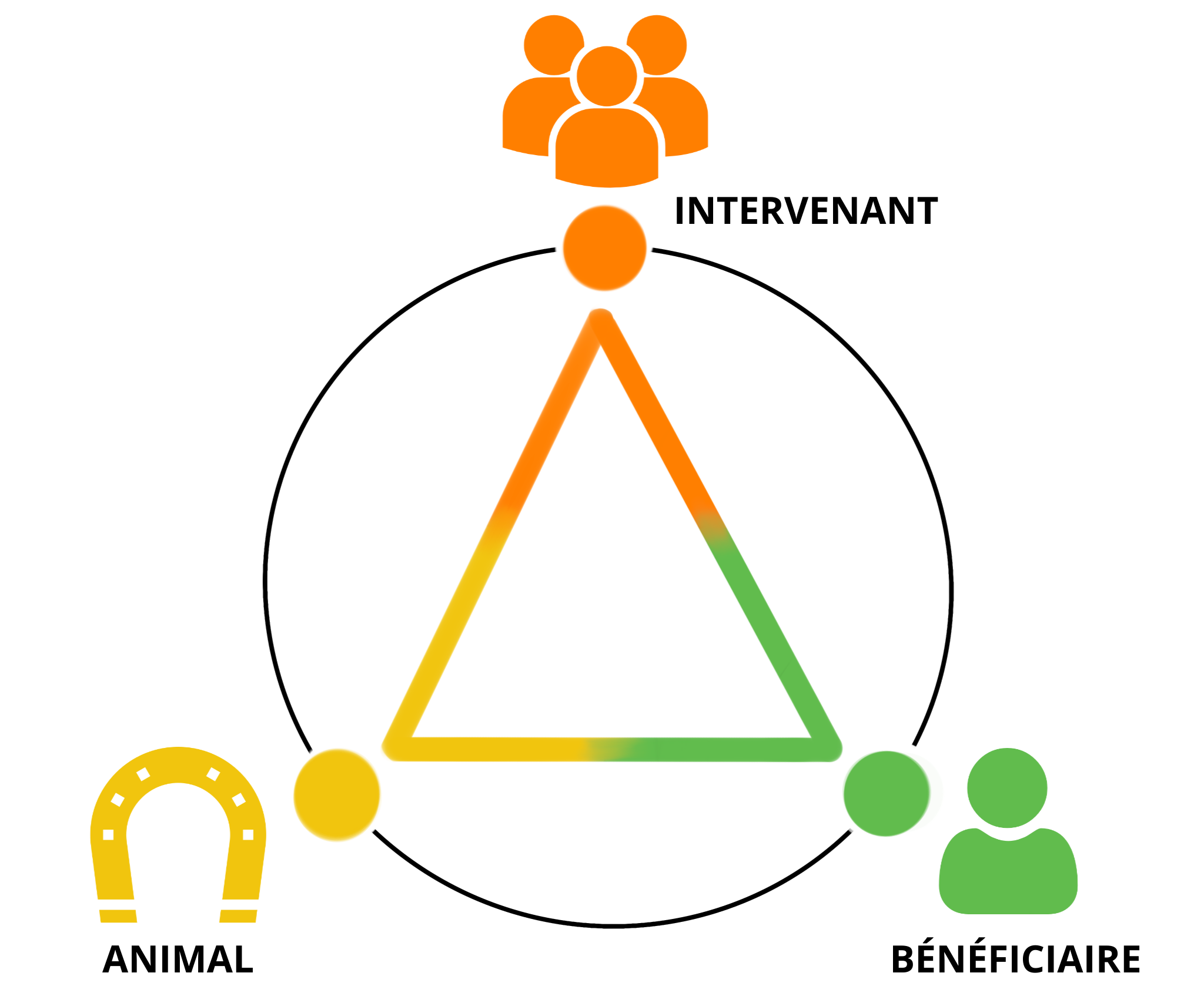 Tiergestützte Mediation - Dreiecksbeziehung